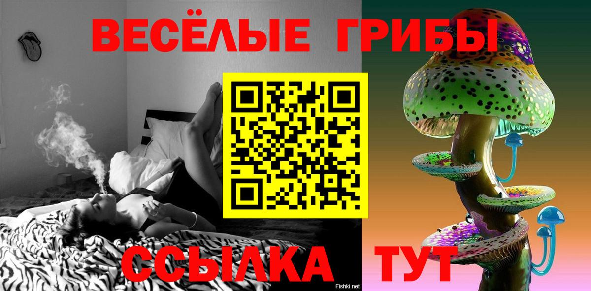 Краснотурьинск  Псилоцибиновые грибы мухоморы  Вход с VPN 