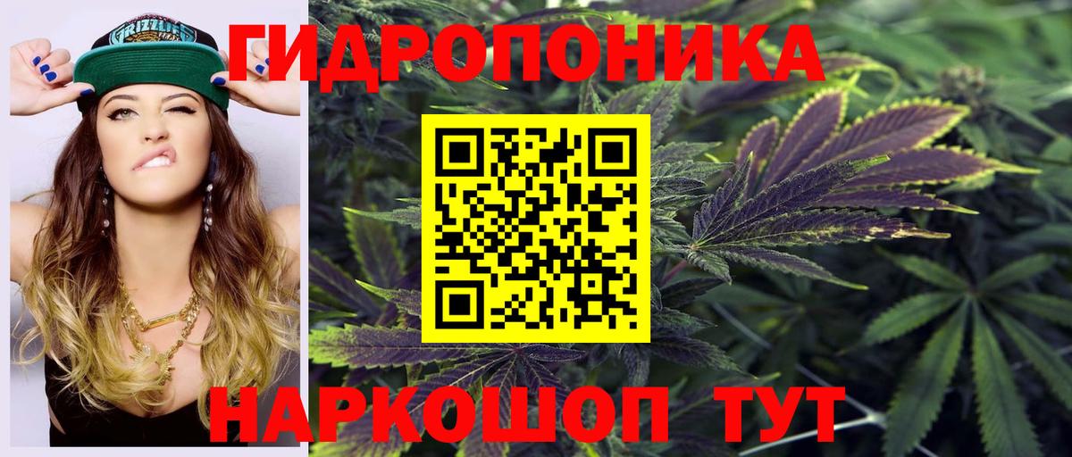 Бошки Шишки SATIVA & INDICA  Марихуана семена  Вход с VPN  Канабис Amnesia  Шишки марихуана AK-47  Краснотурьинск 